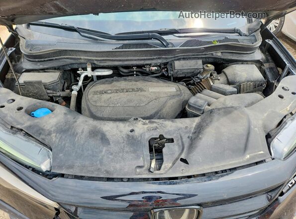 5FNYF6H70MB007544 2021 HONDA PILOT Черный Вид задней части салона