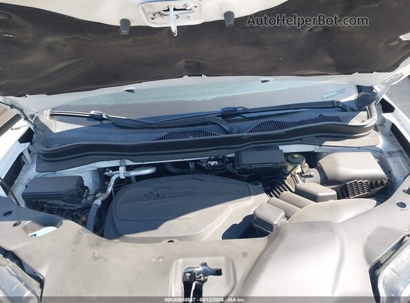 5FNYF7H57MB007772 2021 HONDA PASSPORT White Widok z tyłu