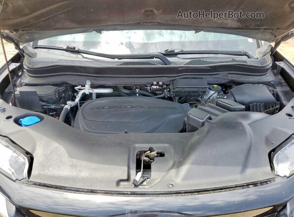 5FNYF8H0XMB024706 2021 HONDA PASSPORT Gray Widok wnętrza z tyłu