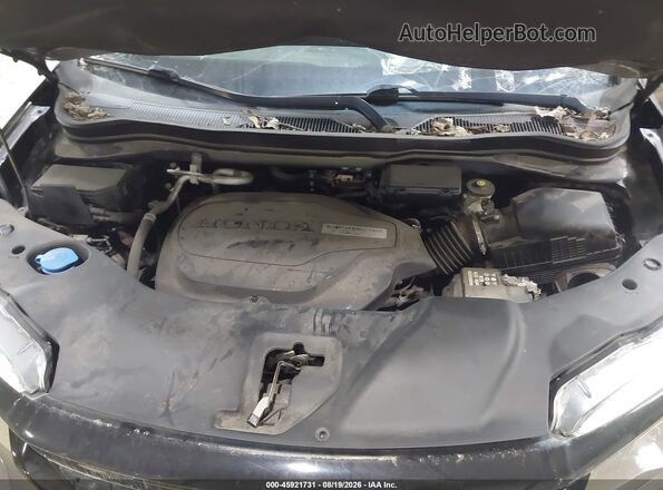 5FNYF8H54KB025763 2019 HONDA PASSPORT Gray Widok z tyłu