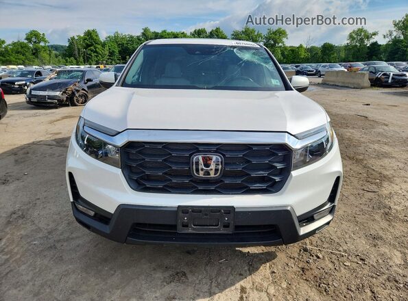 5FNYF8H59RB008693 2024 HONDA PASSPORT White წინა ხედი