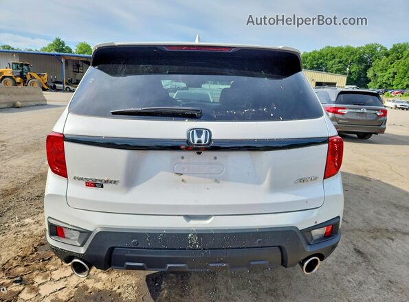 5FNYF8H59RB008693 2024 HONDA PASSPORT White უკანა ხედი
