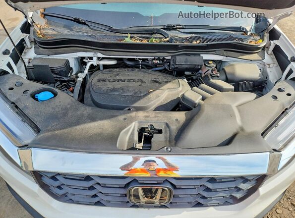5FNYF8H59RB008693 2024 HONDA PASSPORT White ძრავის განყოფილების ხედი