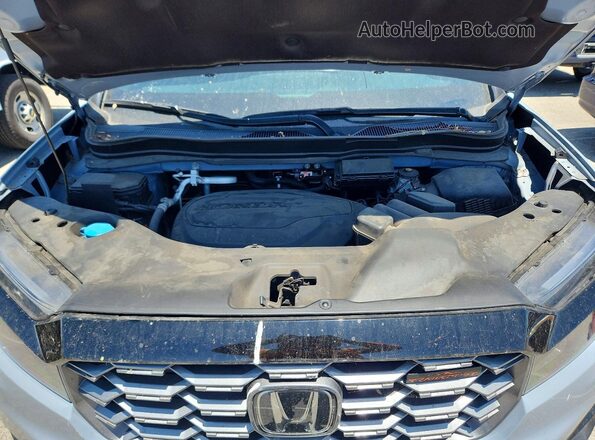 5FNYF8H61PB002957 2023 HONDA PASSPORT Gray Widok wnętrza z tyłu