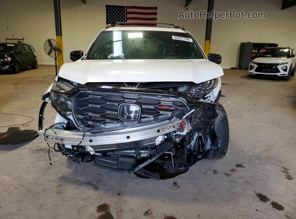 5FNYF8H63RB018922 2024 HONDA PASSPORT White Widok z przodu