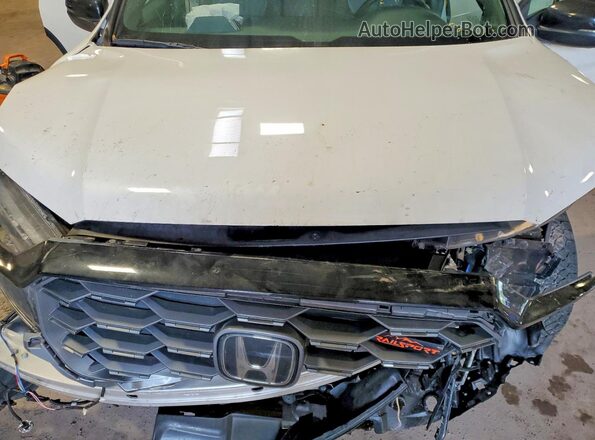 5FNYF8H63RB018922 2024 HONDA PASSPORT White Widok komory silnika