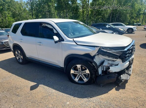 5FNYG1H46RB501940 2024 HONDA PILOT Белый Передняя правая четверть
