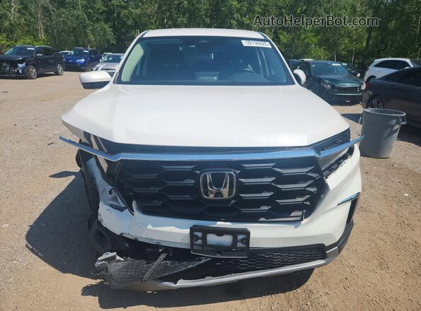 5FNYG1H46RB501940 2024 HONDA PILOT Белый Вид спереди