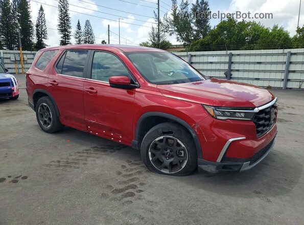 5FNYG1H49RB019446 2024 HONDA PILOT Red Առջևի աջ