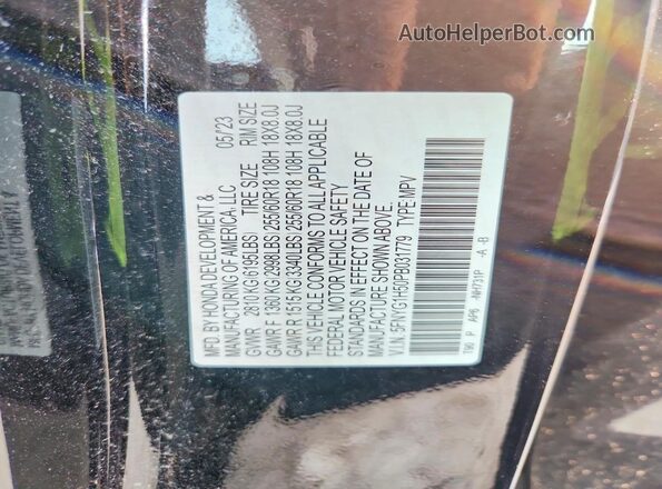 5FNYG1H50PB031779 2023 HONDA PILOT Черный Панорамный вид салона 360°