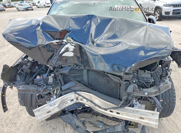 5FNYG1H50PB040367 2023 HONDA PILOT Black Սալոնի հետևի տեսք