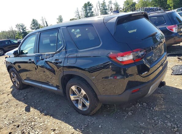 5FNYG1H59RB026647 2024 HONDA PILOT Черный Задняя левая четверть