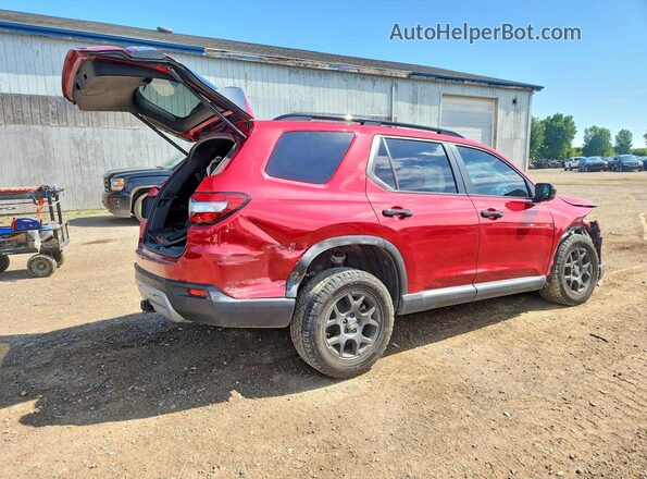 5FNYG1H60RB028019 2024 HONDA PILOT Red Tył prawy