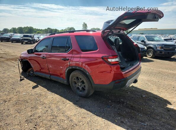 5FNYG1H60RB028019 2024 HONDA PILOT Red Tył lewy