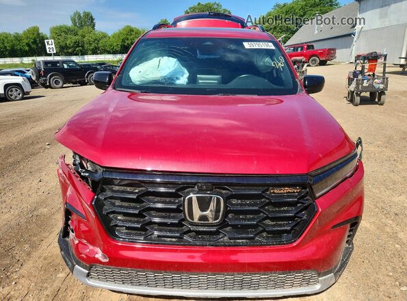 5FNYG1H60RB028019 2024 HONDA PILOT Red Widok z przodu