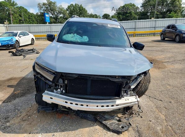 5FNYG1H63RB019573 2024 HONDA PILOT Серый Вид спереди