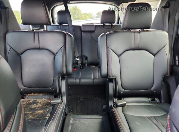 5FNYG1H63RB019573 2024 HONDA PILOT Серый Вид задних сидений