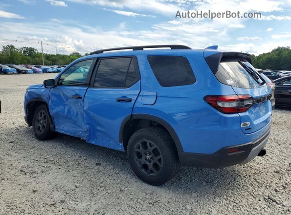 5FNYG1H65RB033796 2024 HONDA PILOT Blue Задня ліва чверть