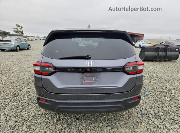 5FNYG2H28RB009284 2024 HONDA PILOT Gray Widok z tyłu