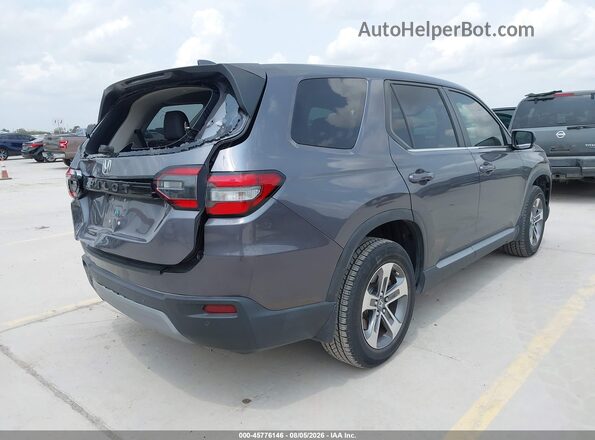 5FNYG2H50PB004605 2023 HONDA PILOT Gray უკანა მარჯვენა