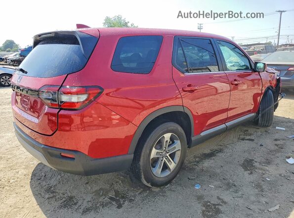 5FNYG2H53RB005315 2024 HONDA PILOT Red Trasero derecho