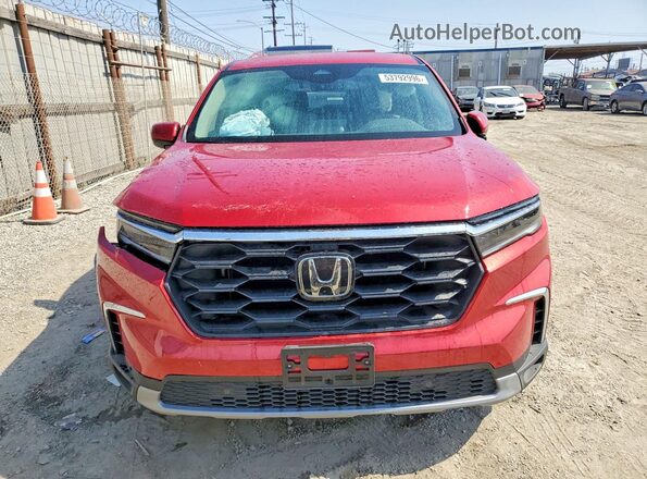 5FNYG2H53RB005315 2024 HONDA PILOT Red Vista frontal