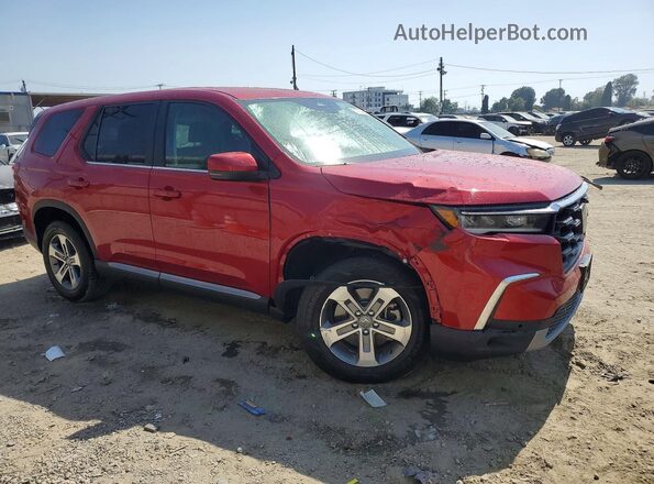 5FNYG2H53RB005315 2024 HONDA PILOT Red Delantero derecho