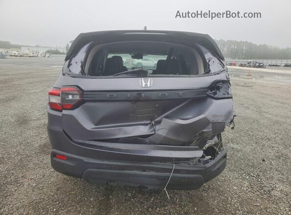 5FNYG2H56PB015334 2023 HONDA PILOT Gray უკანა ხედი