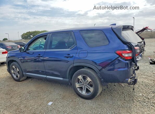 5FNYG2H56RB004465 2024 HONDA PILOT Blue Հետևի ձախ