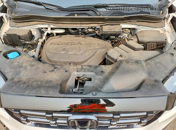 5FPYK3F10RB021502 2024 HONDA RIDGELINE White Вид задньої частини салону