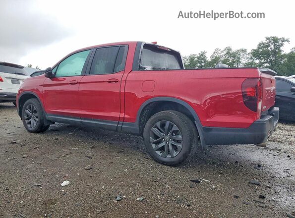 5FPYK3F18SB007238 2025 HONDA RIDGELINE Красный Задняя левая четверть