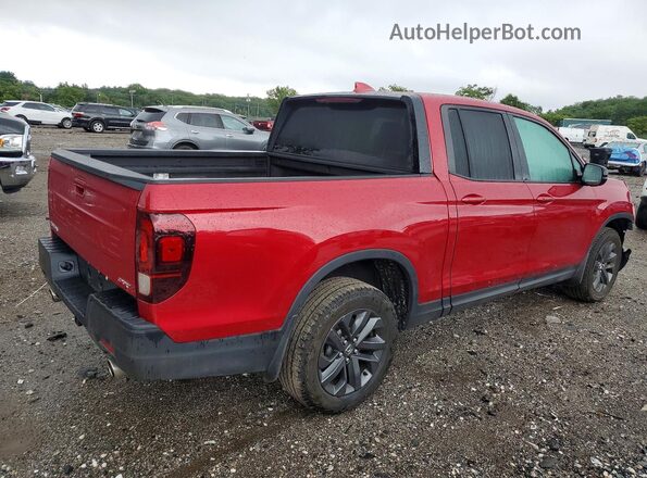 5FPYK3F18SB007238 2025 HONDA RIDGELINE Красный Задняя правая четверть