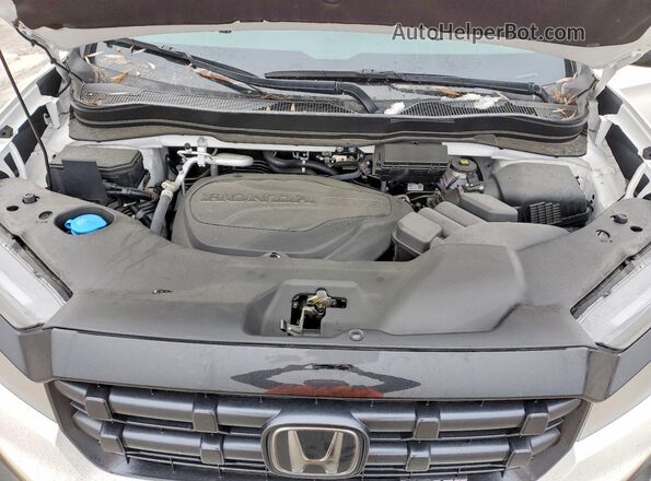 5FPYK3F1XSB011369 2025 HONDA RIDGELINE White Սալոնի հետևի տեսք