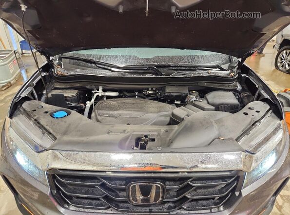 5FPYK3F51PB068053 2023 HONDA RIDGELINE Silver Սալոնի հետևի տեսք