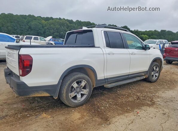 5FPYK3F51RB014061 2024 HONDA RIDGELINE White უკანა მარჯვენა