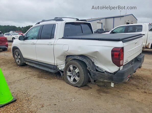 5FPYK3F51RB014061 2024 HONDA RIDGELINE White უკანა მარცხენა
