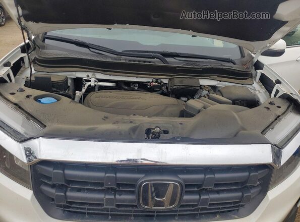 5FPYK3F51RB014061 2024 HONDA RIDGELINE White უკანა სალონის ხედი