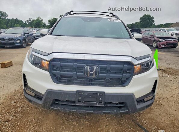 5FPYK3F51RB014061 2024 HONDA RIDGELINE White წინა ხედი