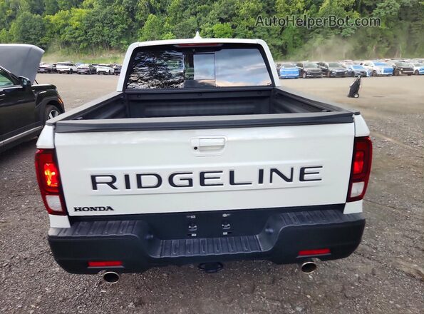 5FPYK3F52SB048211 2025 HONDA RIDGELINE Белый Вид сзади