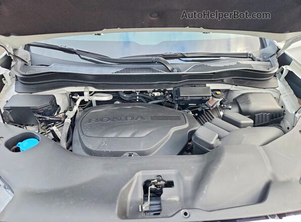 5FPYK3F52SB048211 2025 HONDA RIDGELINE Белый Вид задней части салона