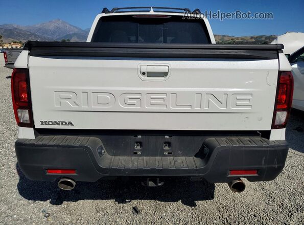 5FPYK3F56SB018385 2025 HONDA RIDGELINE Белый Вид сзади