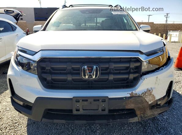 5FPYK3F56SB018385 2025 HONDA RIDGELINE Белый Вид спереди