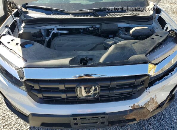 5FPYK3F56SB018385 2025 HONDA RIDGELINE Белый Вид задней части салона