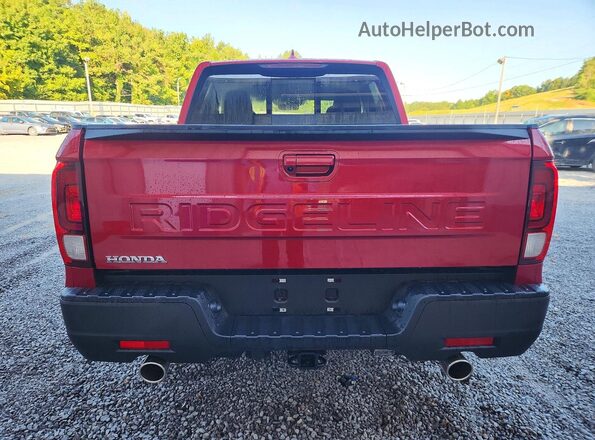 5FPYK3F56TB042851 2026 HONDA RIDGELINE Бордовый Вид сзади