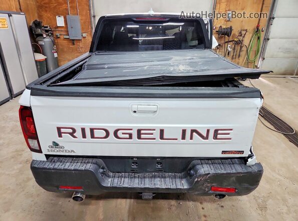 5FPYK3F60SB028936 2025 HONDA RIDGELINE Белый Вид сзади