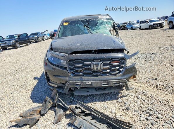 5FPYK3F62RB021447 2024 HONDA RIDGELINE Black Vista frontal