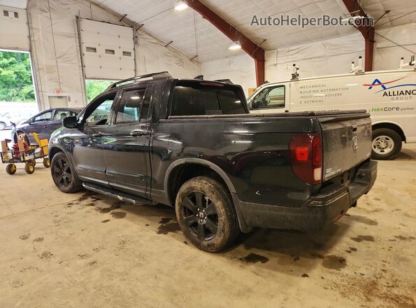 5FPYK3F84HB007176 2017 HONDA RIDGELINE Black Задня ліва чверть