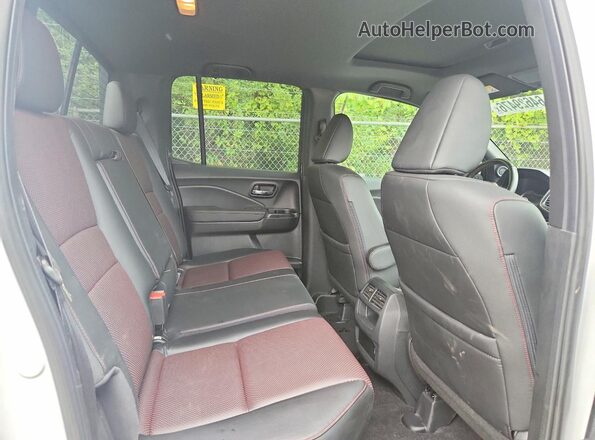 5FPYK3F88PB006272 2023 HONDA RIDGELINE Белый Вид задних сидений