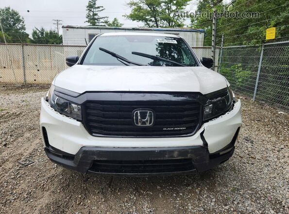 5FPYK3F88PB006272 2023 HONDA RIDGELINE Белый Вид спереди