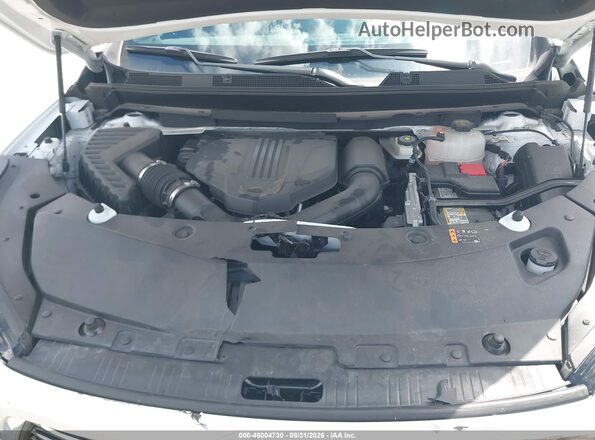 5GAERARS2SJ213178 2025 BUICK ENCLAVE White Widok z tyłu